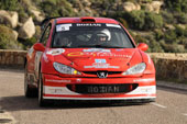 206 WRC Bozian